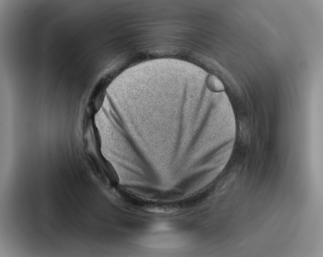 X0000086930735200705141742