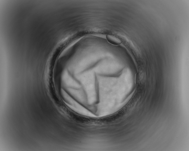 X0000086930736200705141742