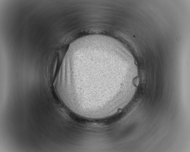 X0000086930737200705141742