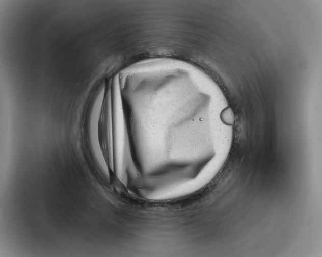 X0000086930738200705141742