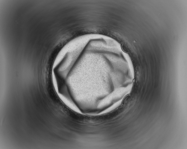 X0000086930739200705141742