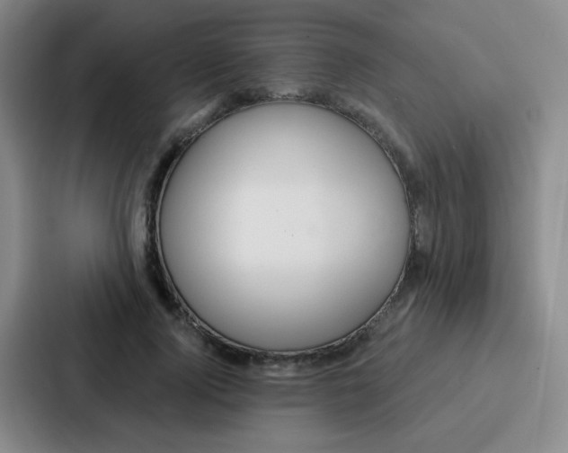 X0000086930740200705141742