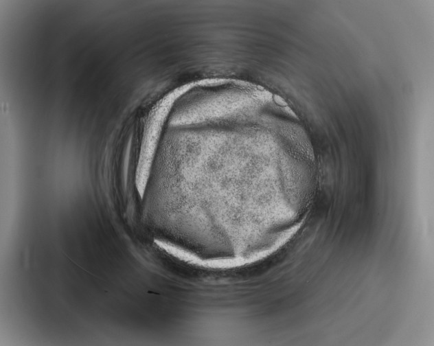 X0000086930742200705141742