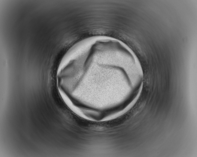 X0000086930743200705141742