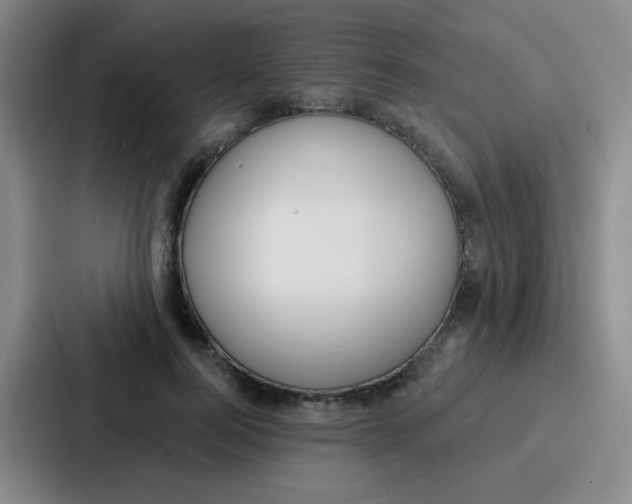 X0000086930744200705141742