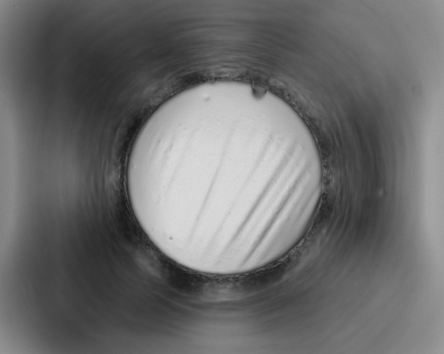 X0000086930745200705141742