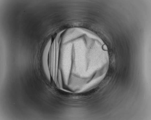 X0000086930746200705141742