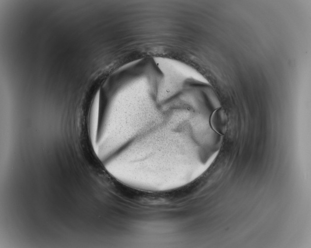 X0000086930747200705141742