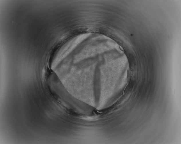 X0000086930748200705141742