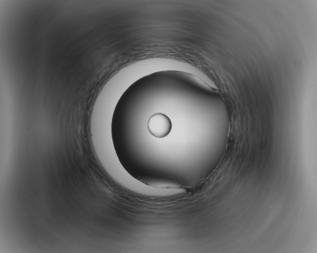 X0000086930750200705141742