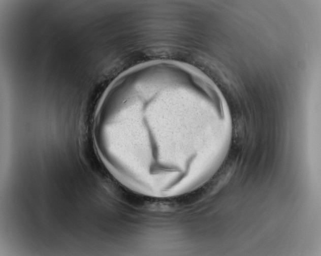 X0000086930751200705141742