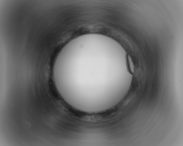 X0000086930752200705141742