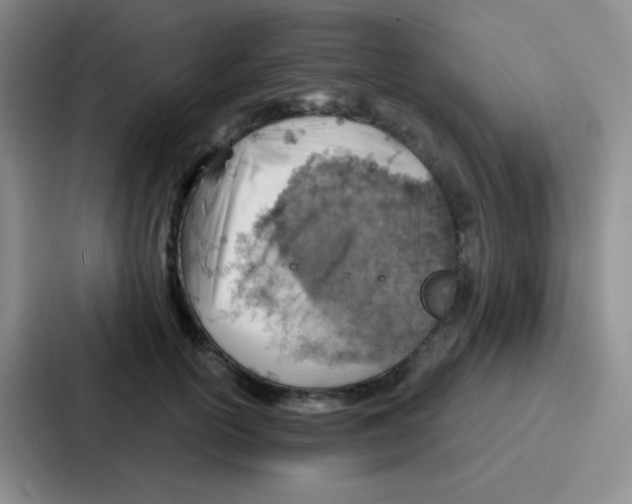 X0000086930754200705141742