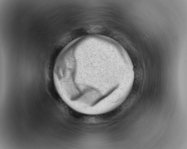 X0000086930755200705141742