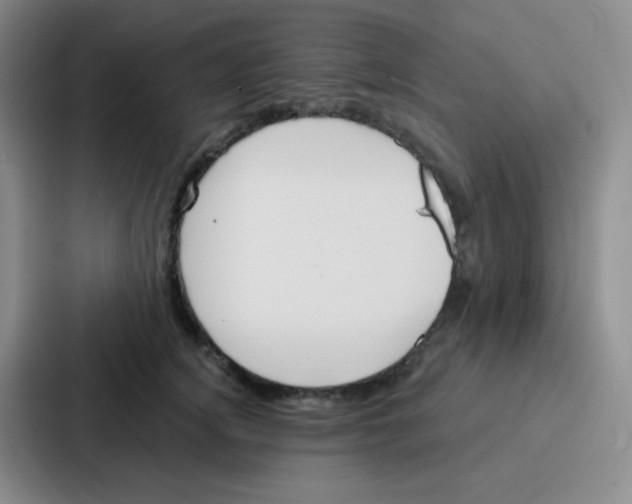 X0000086930756200705141742