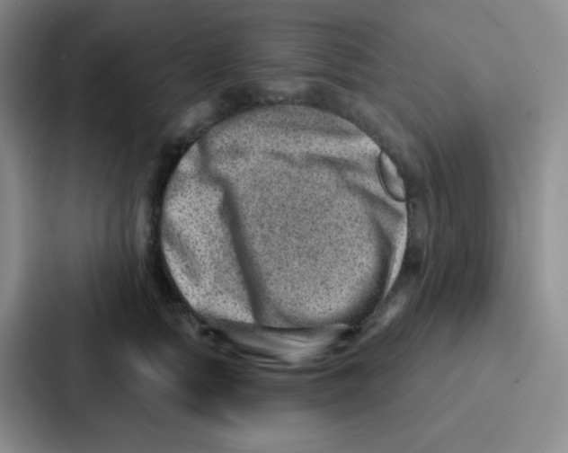 X0000086930758200705141742