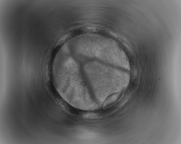 X0000086930759200705141742