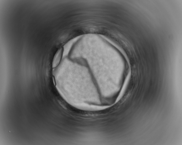 X0000086930760200705141742