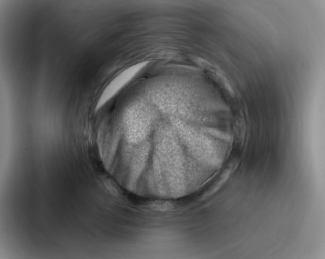 X0000086930762200705141742