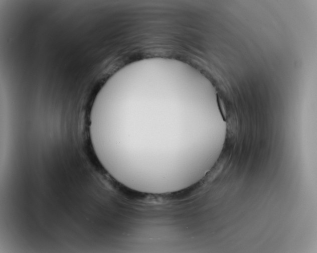 X0000086930764200705141742