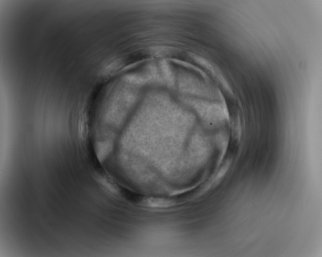 X0000086930766200705141742