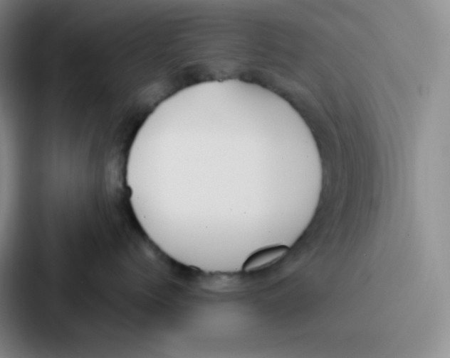 X0000086930768200705141742