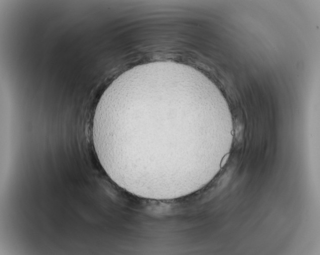 X0000086930772200705141741