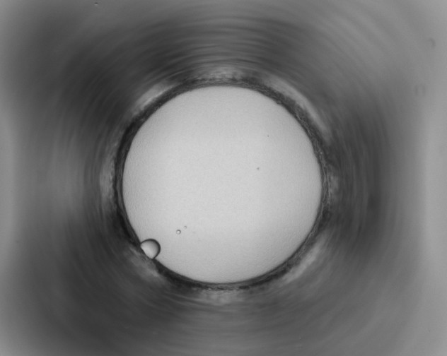 X0000086930778200705141741