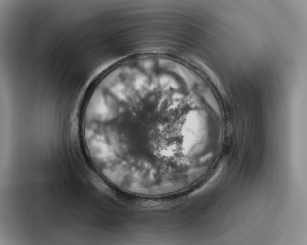 X0000086930779200705141741