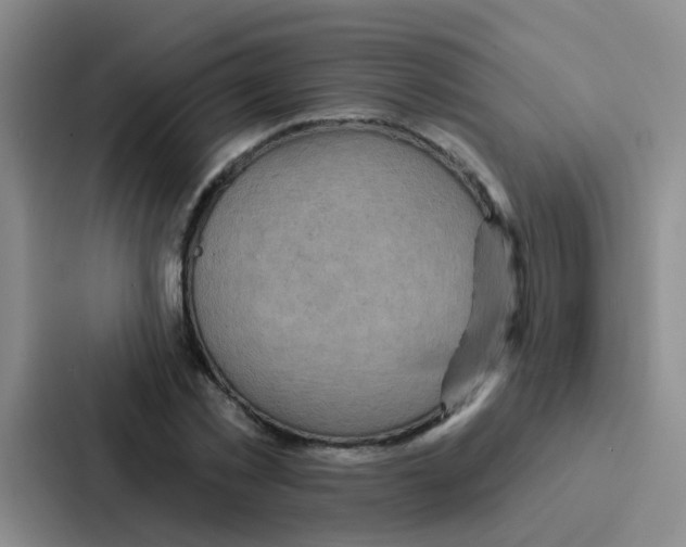 X0000086930781200705141741