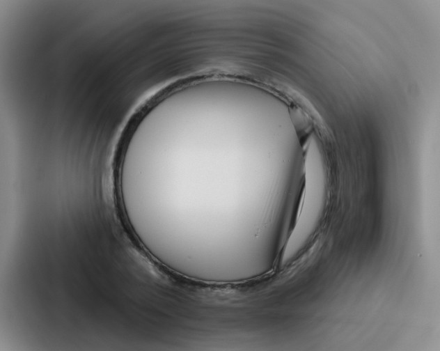 X0000086930784200705141741