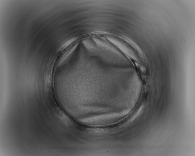 X0000086930785200705141741