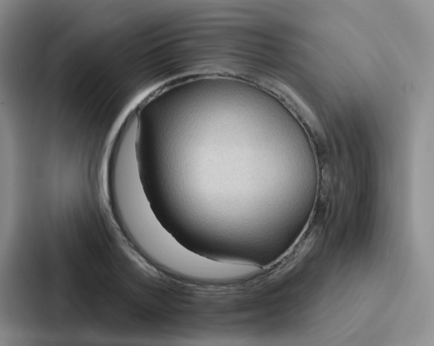 X0000086930788200705141741