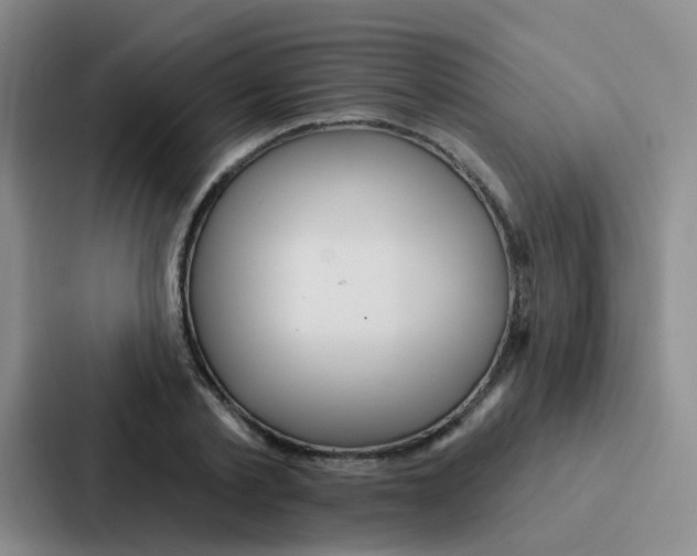 X0000086930789200705141741