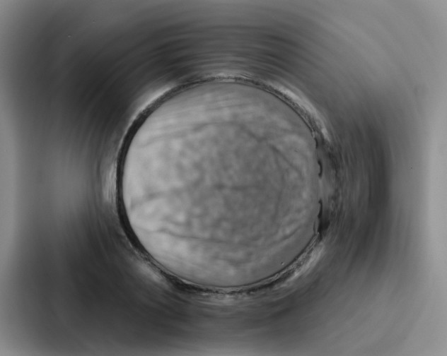 X0000086930790200705141741