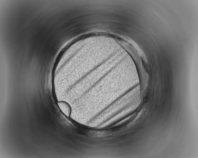 X0000086930791200705141741