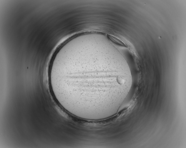 X0000086930792200705141741