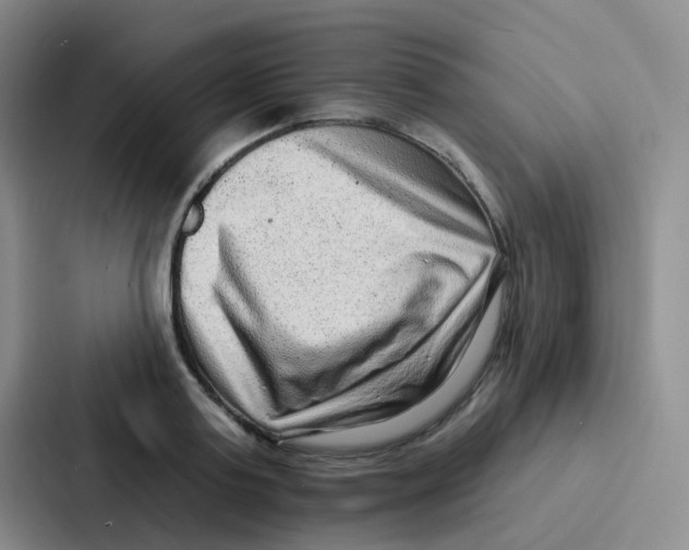 X0000086930795200705141741