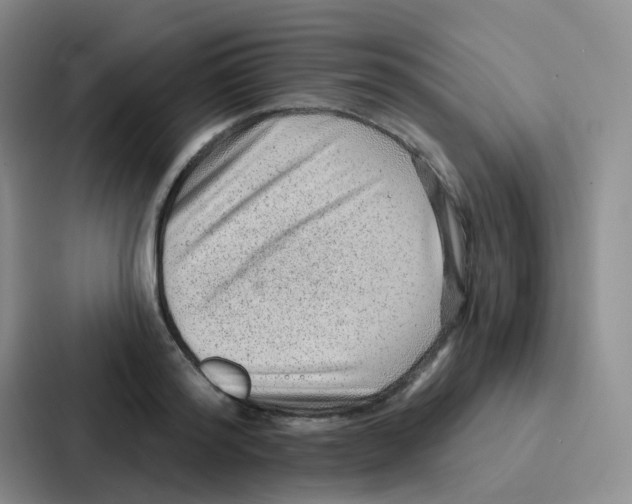 X0000086930796200705141741