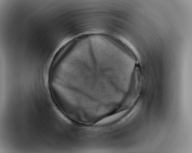 X0000086930797200705141741