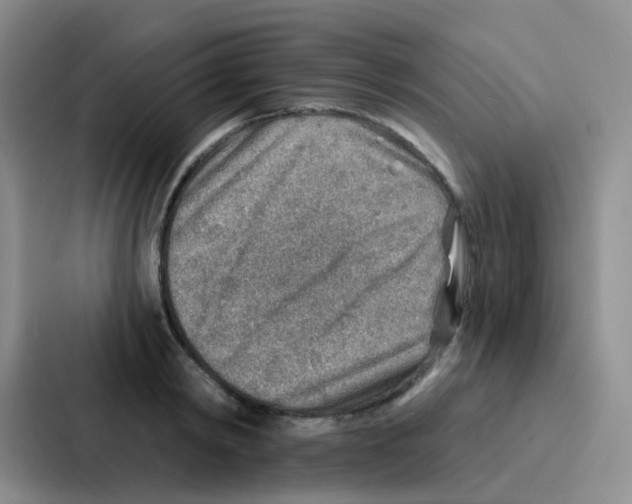 X0000086930798200705141741