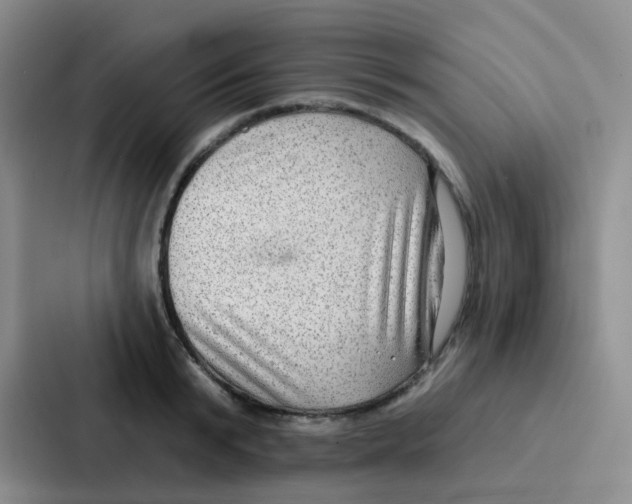 X0000086930799200705141741