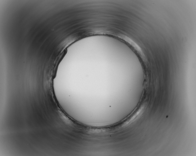 X0000086930801200705141741