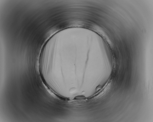 X0000086930802200705141741