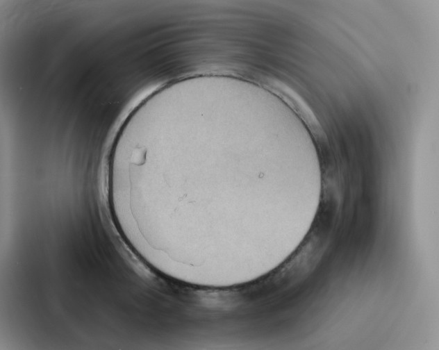 X0000086930804200705141741