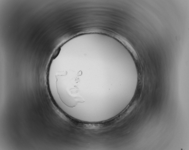 X0000086930805200705141741