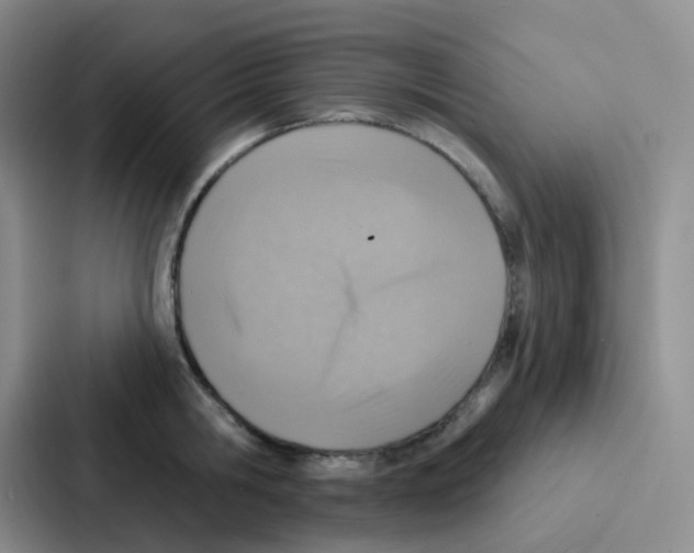 X0000086930806200705141741