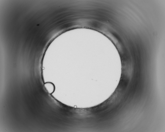 X0000086930807200705141741