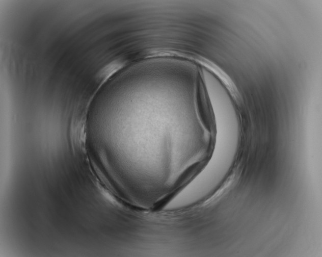 X0000086930809200705141741