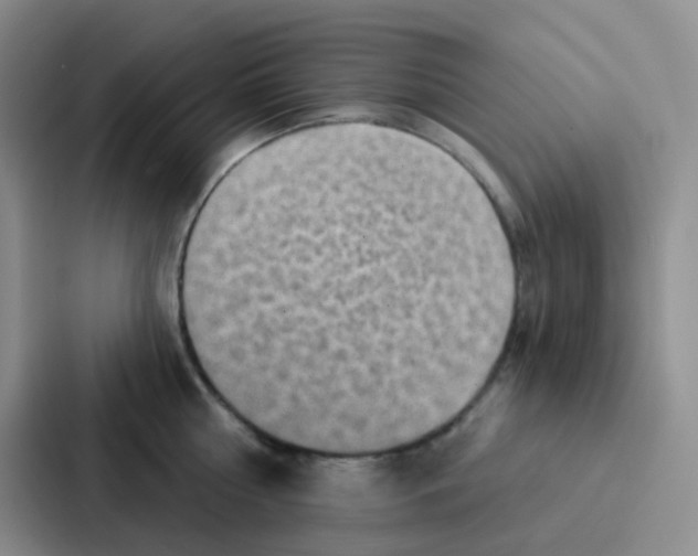 X0000086930810200705141741